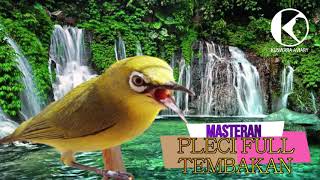 Download lagu MASTERAN PLECI FULL ISIAN TEMBAKAN DENGAN TERAPI AIR DAN ALUNAN MUSIK KECAPI SUNDA mp3