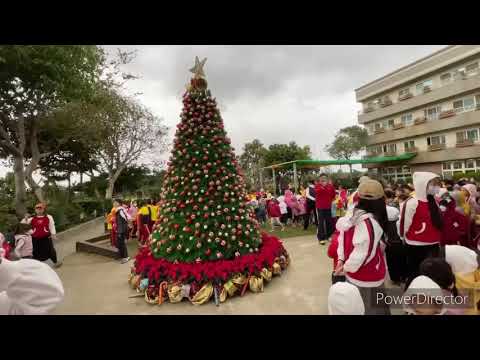 新奇屋幼兒園~溫馨12月聖誕樹點燈活動 新奇屋幼兒園~溫馨12月聖誕樹點燈活動