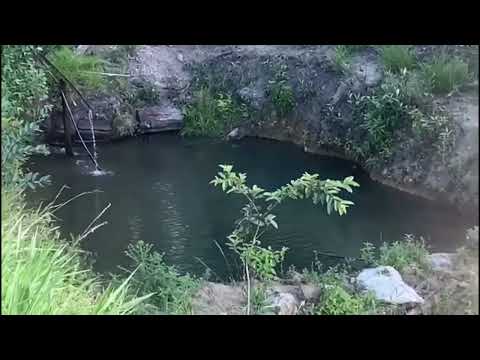 Propriedade a venda em Alagoas na região de Ibateguara AL