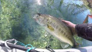 Kayak Bass Fishing: DEBUNKING Line Shyness Theory***