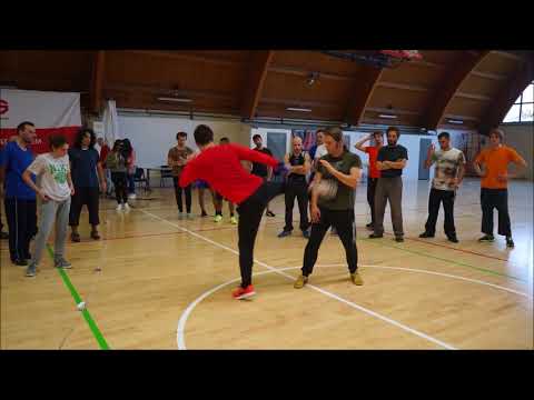 TG Wave Kick (Use your pelvis) - DK Yoo