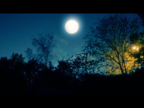 Raging Speedhorn - Night Wolf (Official Music Video)