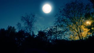 Raging Speedhorn - Night Wolf video