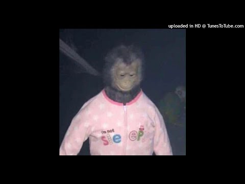 CapoFlexx - LIGHTWORK FREESTYLE