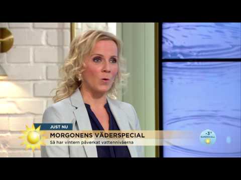 Väderspecial: "Alarmerande låga grundvattennivåer" - Nyhetsmorgon (TV4)