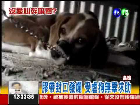 只是嫌牠吵! 軍官膠帶纏狗嘴