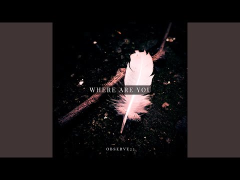 Silhouettes Fade (feat. thebreathingbackwards)