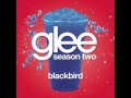 Glee Cast - Blackbird (w/ lyrics)