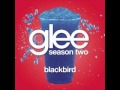 Glee Cast - Blackbird (w/ lyrics) 