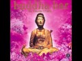 buddha-bar vol.1 - 68 - (party) 