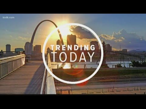 Mike Matheny rumored to manage K.C. Royals