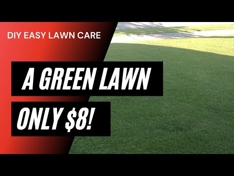 How to Get a Green Lawn Fast / $8 For A Green Lawn!