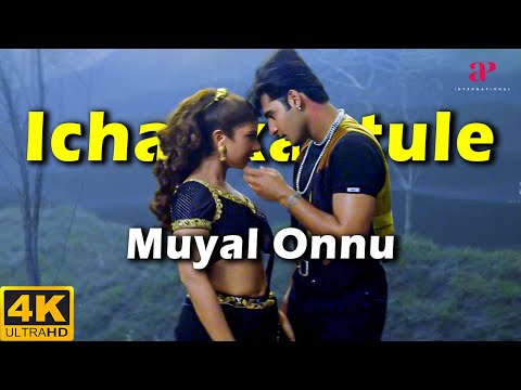 Ichankaatule Muyal Onnu 4K Video Song | V. I. P. Movie Songs | Prabhu Deva | Abbas | Ranjit Barot