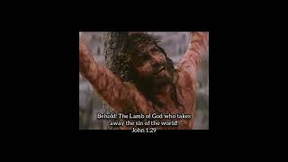 Clothed in Christ