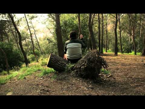 El Dia de la Barbota - Els consells del boig