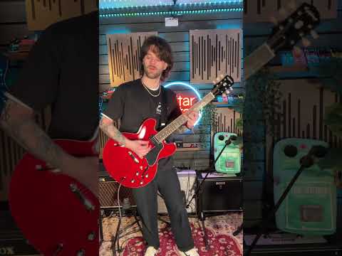 EPIPHONE ES-339 w/ EPIPHONE hardcase. image 7