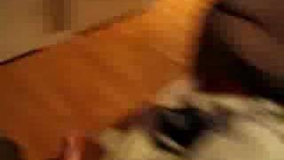 more silly kids Spring 07