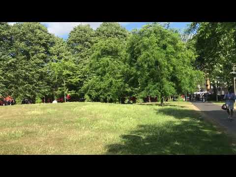 Walthamstow Selbourne Walk