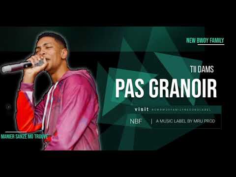 PAS GRANOIR - TII DAMS FT. WEWEL PROD ( OFFICIAL SONG )