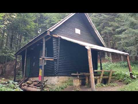 DE LA GURA DIHAM PE UN TRASEU NEMARCAT CATRE OCOLUL SILVIC CABANA VANATORILOR DIN BUCEGI