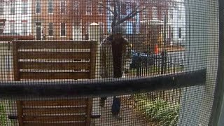 DC Stolen mail & packages, 4/3/15