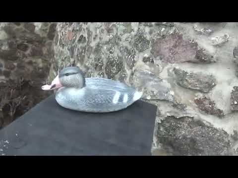 Léva: Végre itthon + videó a Lévai várról