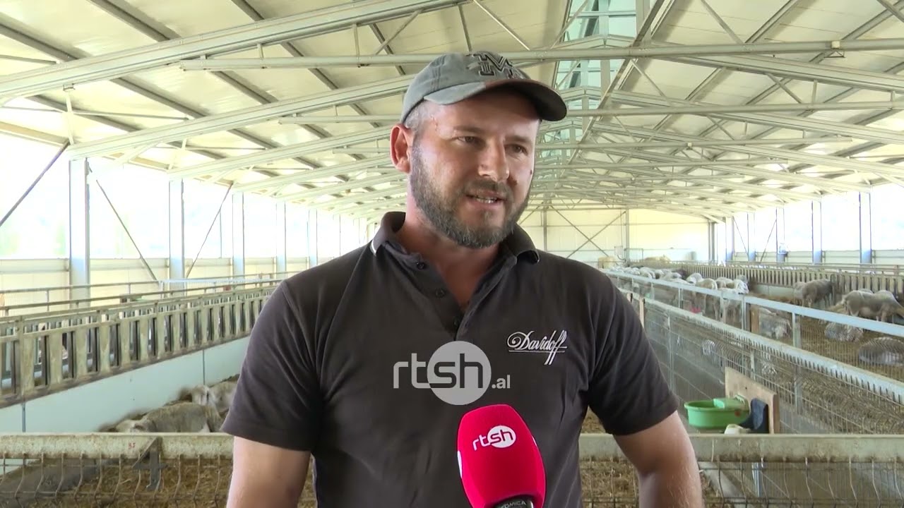Nga ferma në tavolinë tek ajo blegtorale e Këlcyrës ofrohen më shumë siguri për konsumatorin