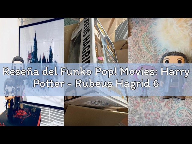 Vídeo relacionado con Funko Pop! Movies: Harry Potter - Rubeus Hagrid 6" - Figura de Vinilo Coleccionable - Idea de Regalo- Mercancia Oficial - Juguetes para Niños y Adultos - Movies Fans