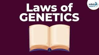 Laws of Genetics - Lesson 5 | Don't Memorise