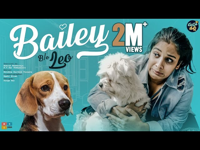 Видео Произношение Bailey в Английский