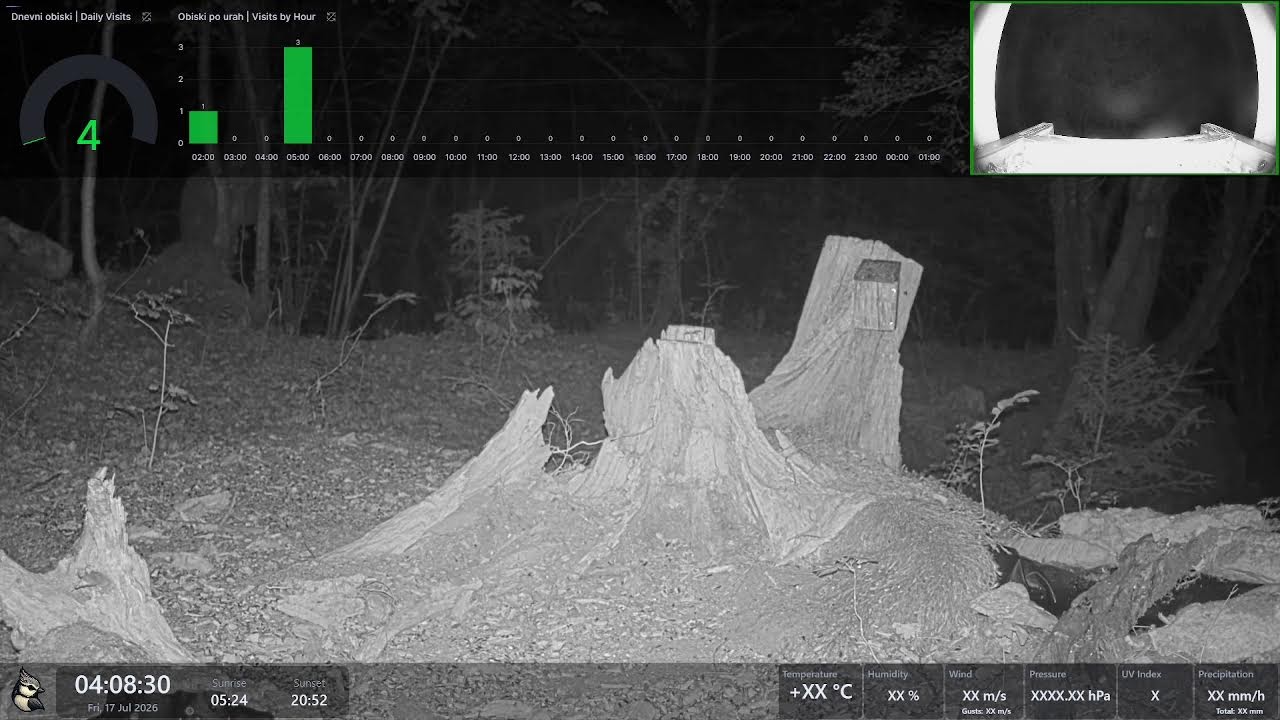 Live webcam view of Comedero de Bosque y Herrerillos Capuchinos
