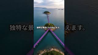 韓国・新安パープル島の旅｜パープル橋を歩いて巡る朴智島＆半月島