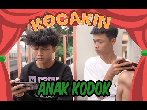 kocakin-anak-kodok