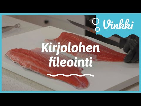 Kirjolohen fileointi | Kalan käsittely