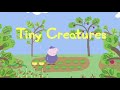 Peppa Pig Tiny Creatures Read Aloud Story English Stories For Kids Storytimeonline1