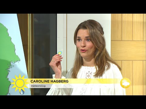 ”Här var det varmast i går” - Nyhetsmorgon (TV4)