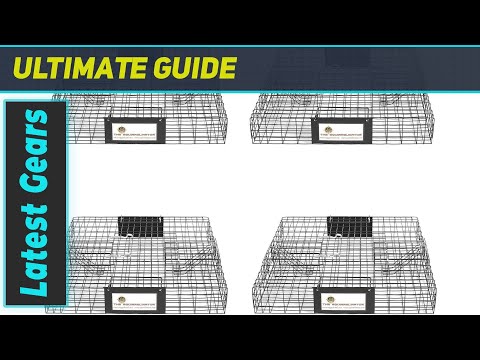 SQR Squirrelinator Trap: Ultimate Squirrel Control?