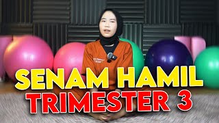 Download lagu Senam Hamil Trimester 3 Meredakan Sakit || Bidan Novia, Amd, Keb - Medikacare mp3 Download lagu Senam Hamil Trimester 3 Meredakan Sakit || Bidan Novia, Amd, Keb - Medikacare mp3