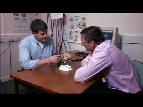 Using TMS to localize brain functions