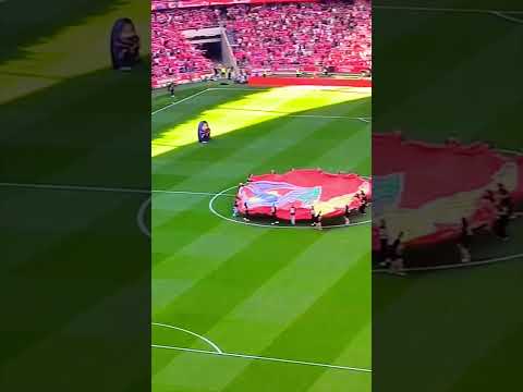 Benfica Stadium in Lisbon #benfica #portugal #lisboa #football #footballshorts #football game ball