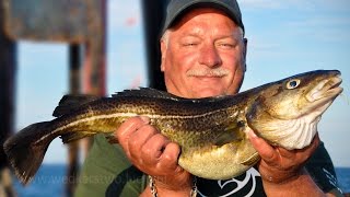 Wędkarstwo morskie i dorsze - rejs kutrem Paweł na Bornholm
