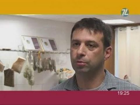 La meilleure brandade de morue est à Calvisson ! (Gard)