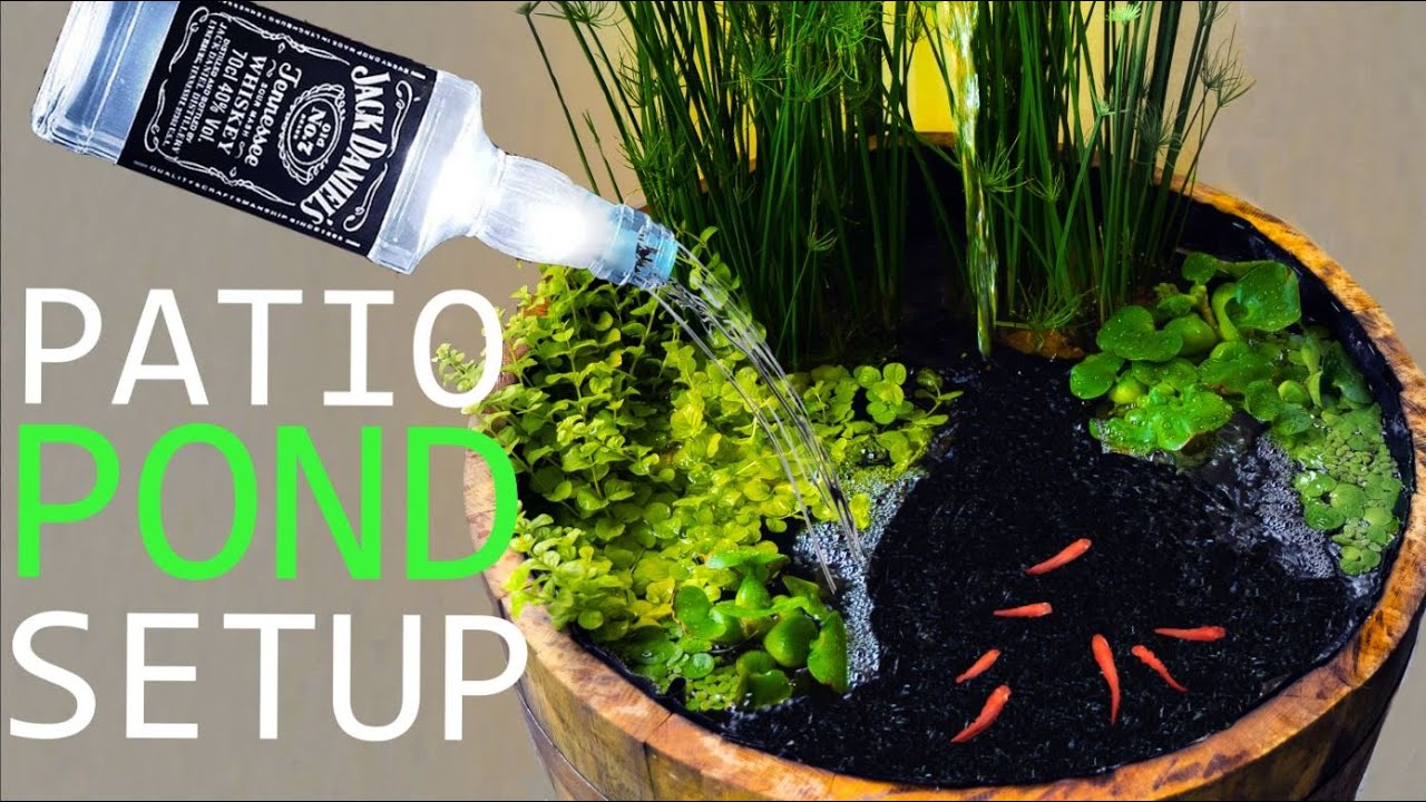 How-to Build a Patio Pond from a Barrel!