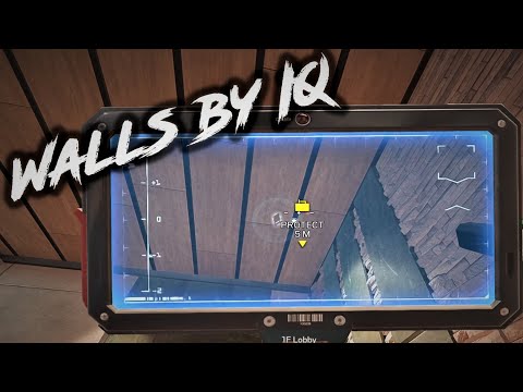 Post Plant is IQ unstoppable | Siege Shorts | Vector Glare