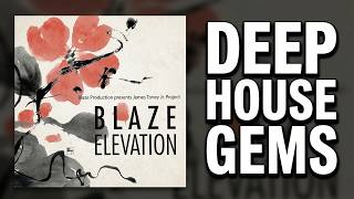 Blaze Production Presents James Toney Jr. Project – Elevation (Shelter Late Nite Dub) 2000
