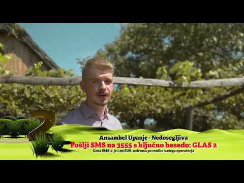 NOVI PREDLOGI GOLICA NAJ: Ansambel Upanje - Nedosegljiva