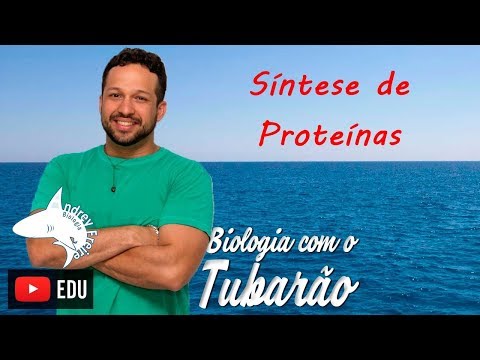 Protein Synthesis - Translation - Genetic Code - Shark Biology