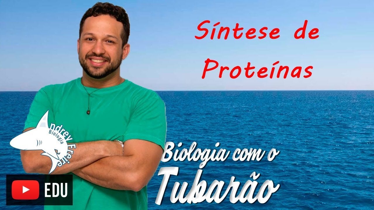 Síntese de Proteínas - Tradução - Código Genético - Biologia com o tubarão