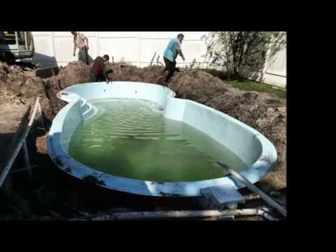 download lagu mp3 mp4 Is Mustard Algae Harmful To Humans, download lagu Is Mustard Algae Harmful To Humans gratis, unduh video klip Is Mustard Algae Harmful To Humans