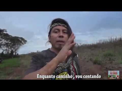 Pueblo Mapuche - Povo Guarani - Kaiowá: Um só Povo
